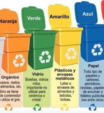 Beneficios ambientales del uso adecuado de contenedores reciclables