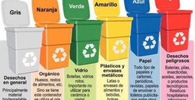 Beneficios ambientales del uso adecuado de contenedores reciclables